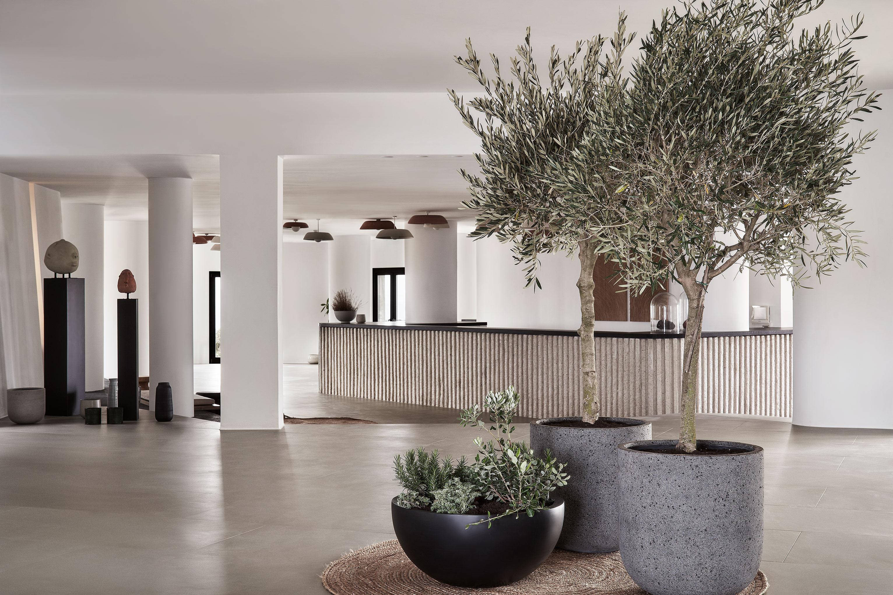 Orama Hotel & Spa Fira  Luaran gambar Interior of the hotel